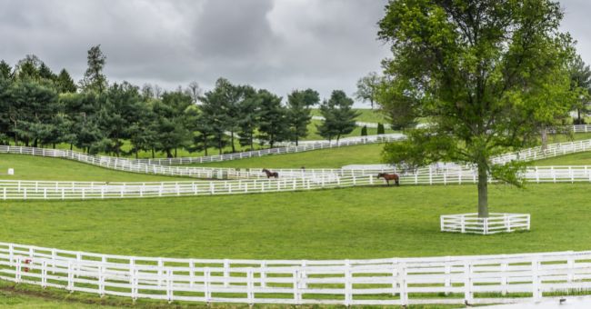 Equestrian Facility