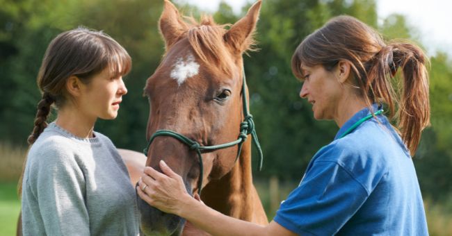 Equine Managers